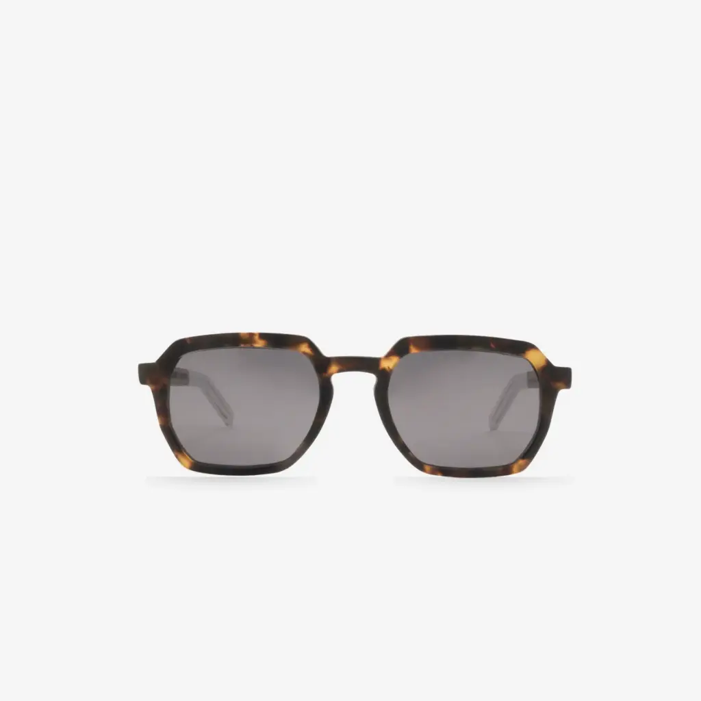 SYRAH x TROTTERWINE / Tortoise