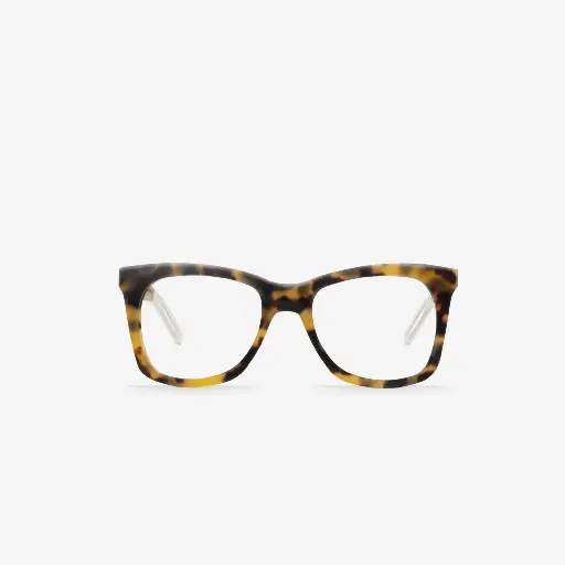 [B03909] ROUCHET / Tortoise