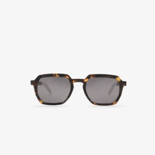 [B05199] SYRAH x TROTTERWINE / Tortoise